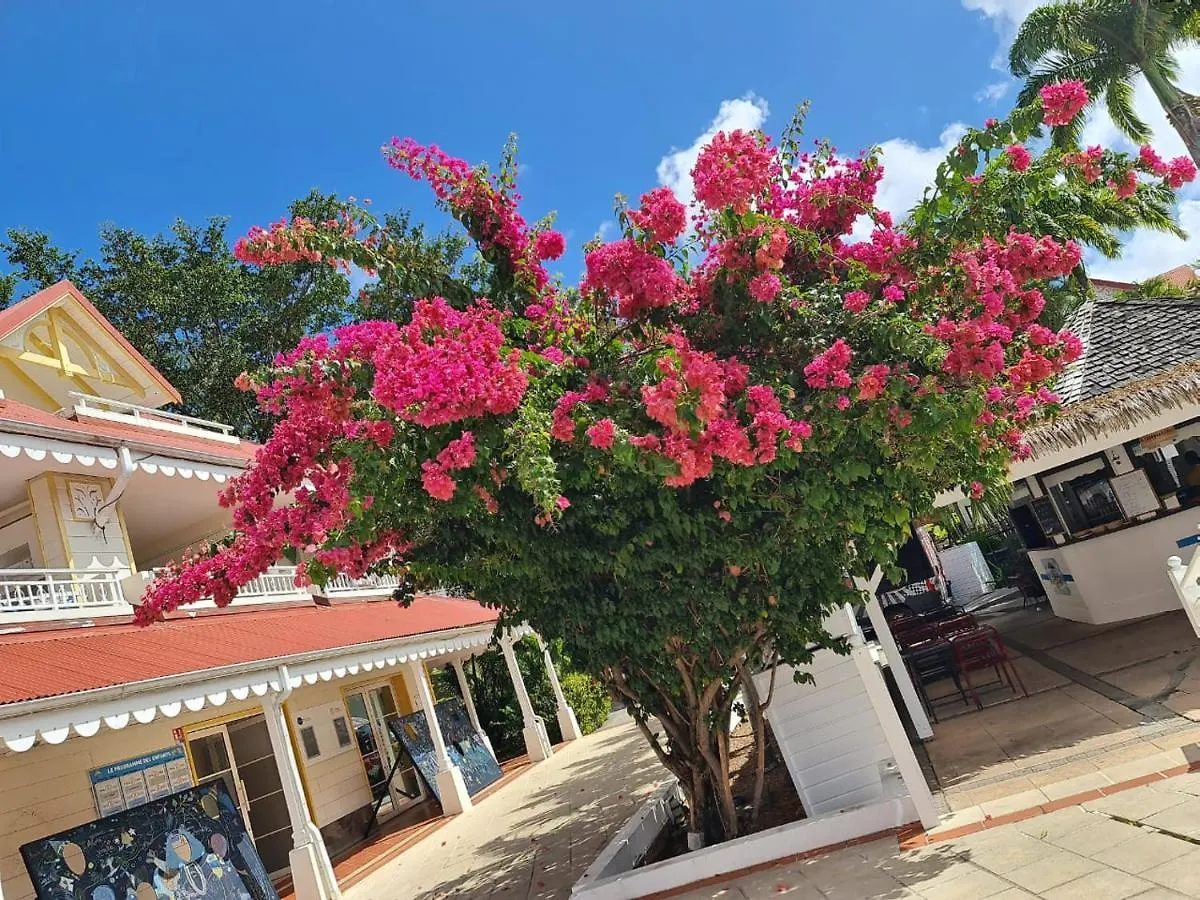 T3 Les Pieds Dans L'Eau A St Anne Aparthotel Sainte-Anne  Guadeloupe